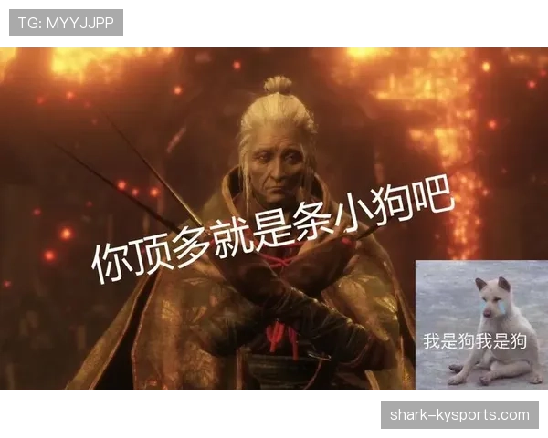 拉皮诺家的狗都比你我活得精致